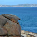 Wilsons Promontory