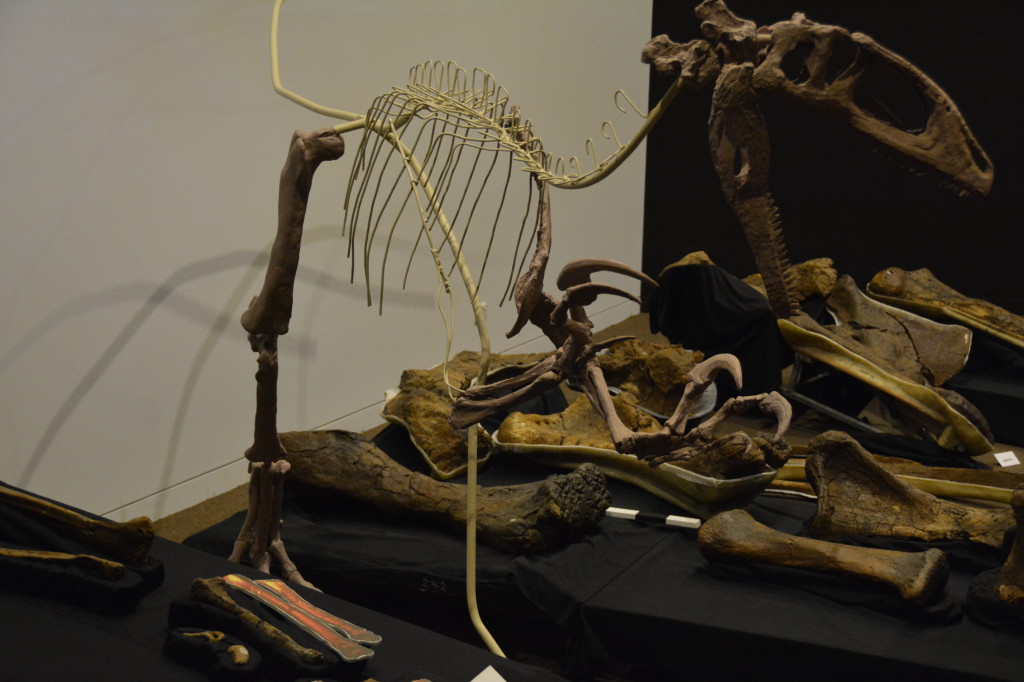 Age of Dinosaurs, Winton