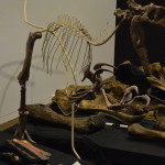 Age of Dinosaurs, Winton