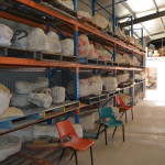 Age of Dinosaurs, Winton