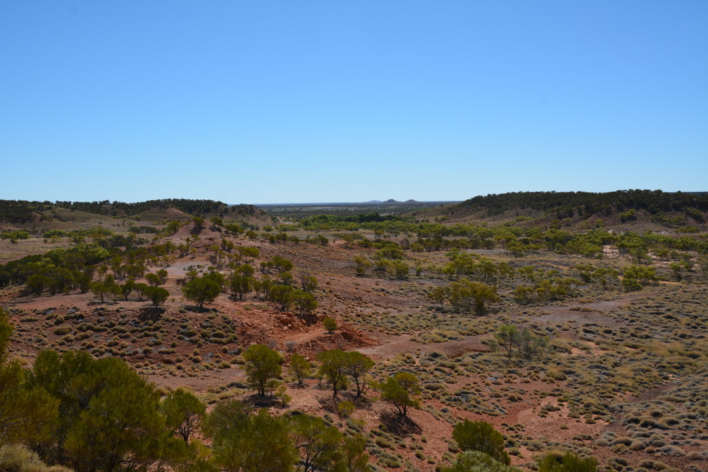 Dinosaur stampede, Winton, Dinosaur Triangle