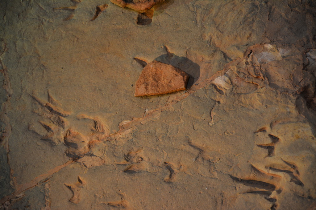 Dinosaur stampede, Winton, Dinosaur Triangle