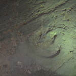 Dinosaur stampede, Winton, Dinosaur Triangle