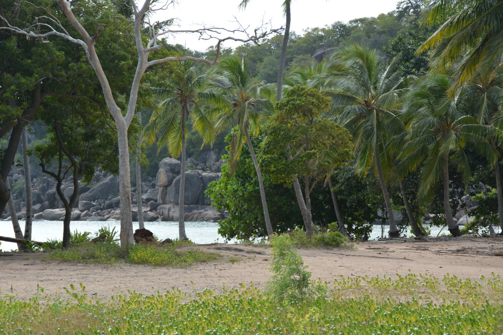 Magnetic Island, Far North Queensland