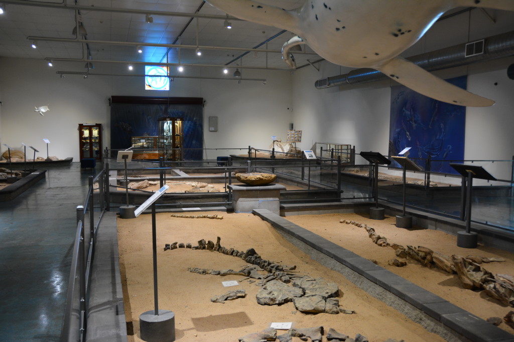 Dinosaur fossils at Richmond, Dinosaur Triangle