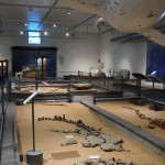 Dinosaur fossils at Richmond, Dinosaur Triangle