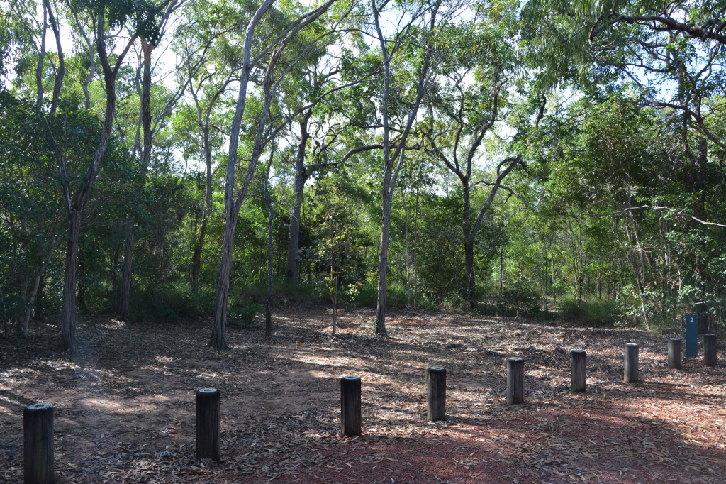 Eliot Falls Cape York