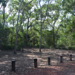 Eliot Falls Cape York