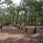 Eliot Falls Cape York