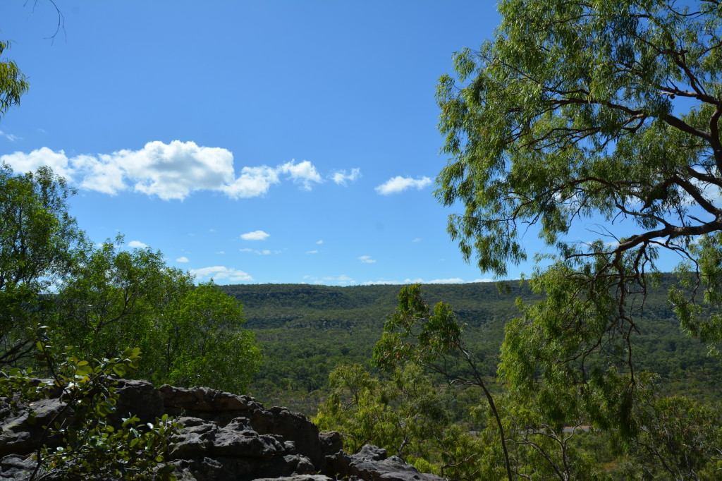 Quinken Art Cape York