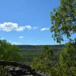 Quinken Art Cape York