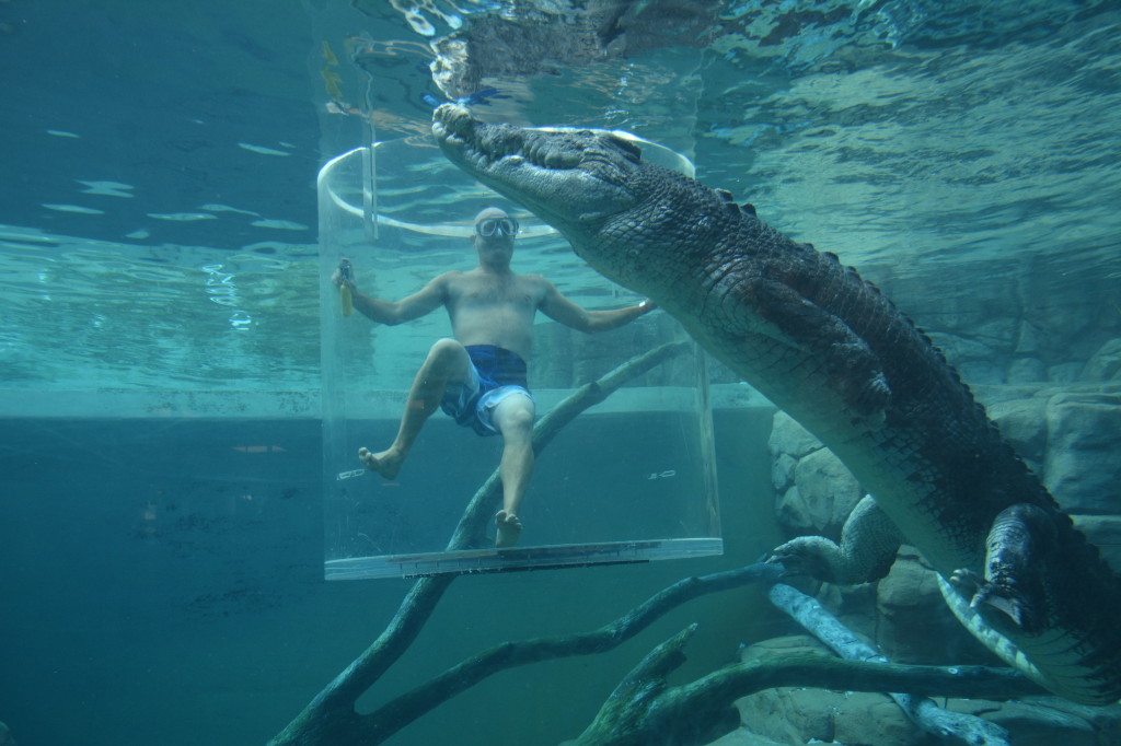 Swimming with Crocodiles in Darwin
