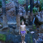 Zebedee Springs, El Questro, Kimberley