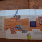 Dinosaur Stampede, Winton