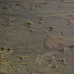 Dinosaur Stampede, Winton