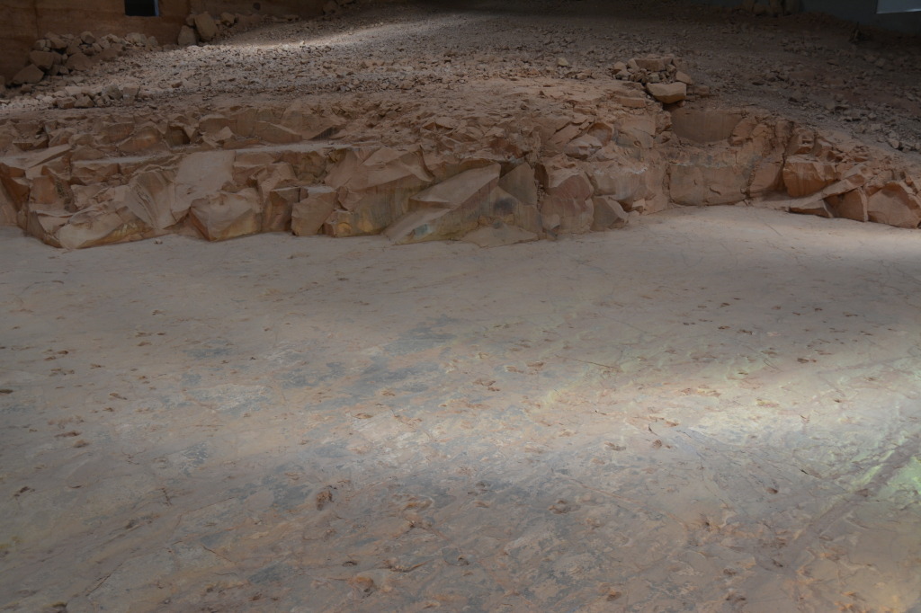 Dinosaur Stampede, Winton