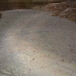 Dinosaur Stampede, Winton