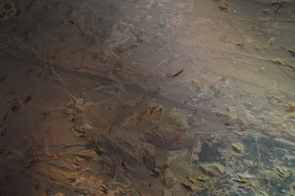 Dinosaur Stampede, Winton