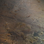 Dinosaur Stampede, Winton