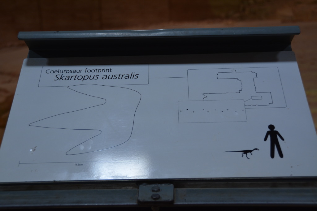 Dinosaur Stampede, Winton