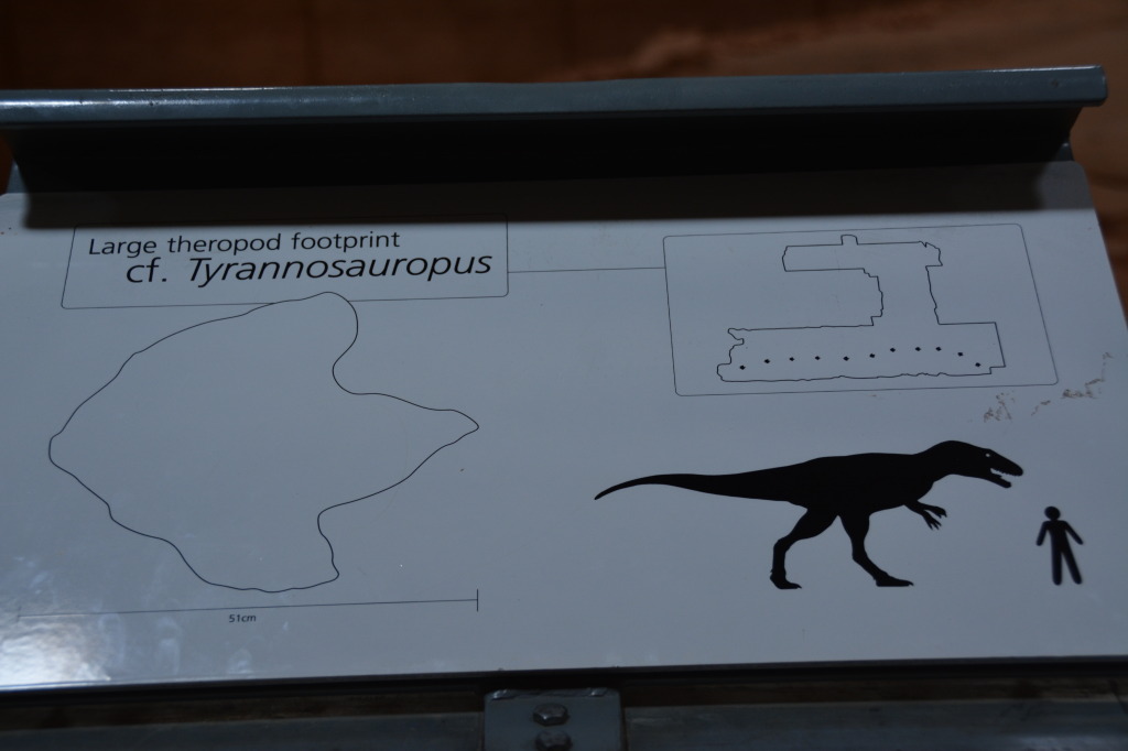 Dinosaur Stampede, Winton