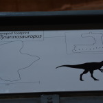 Dinosaur Stampede, Winton