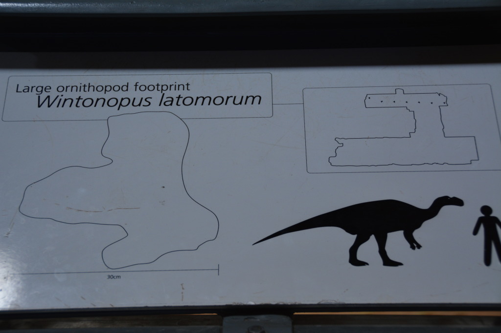 Dinosaur Stampede, Winton