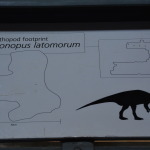 Dinosaur Stampede, Winton