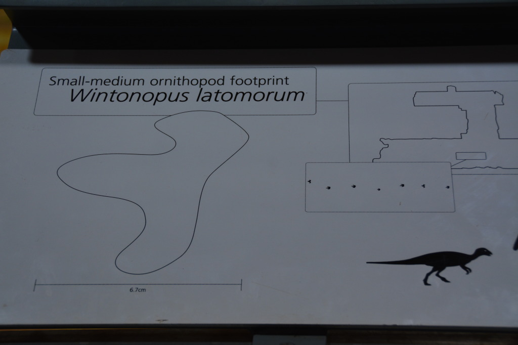 Dinosaur Stampede, Winton