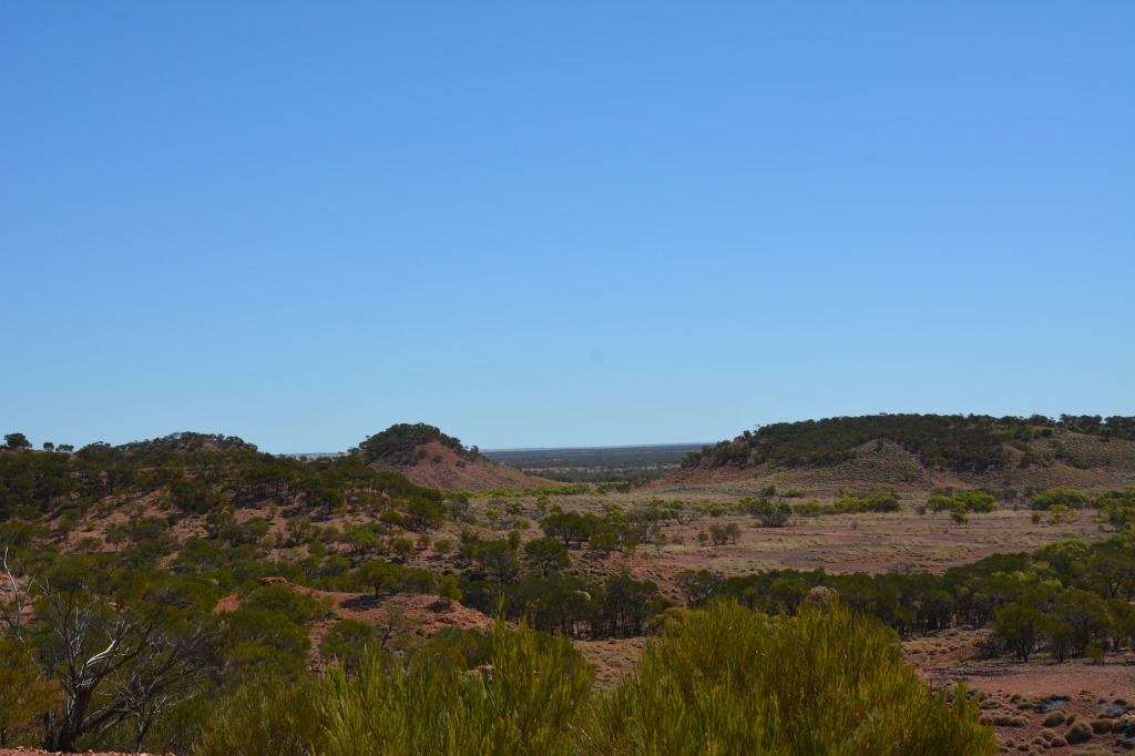 Dinosaur Stampede, Winton