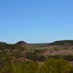 Dinosaur Stampede, Winton
