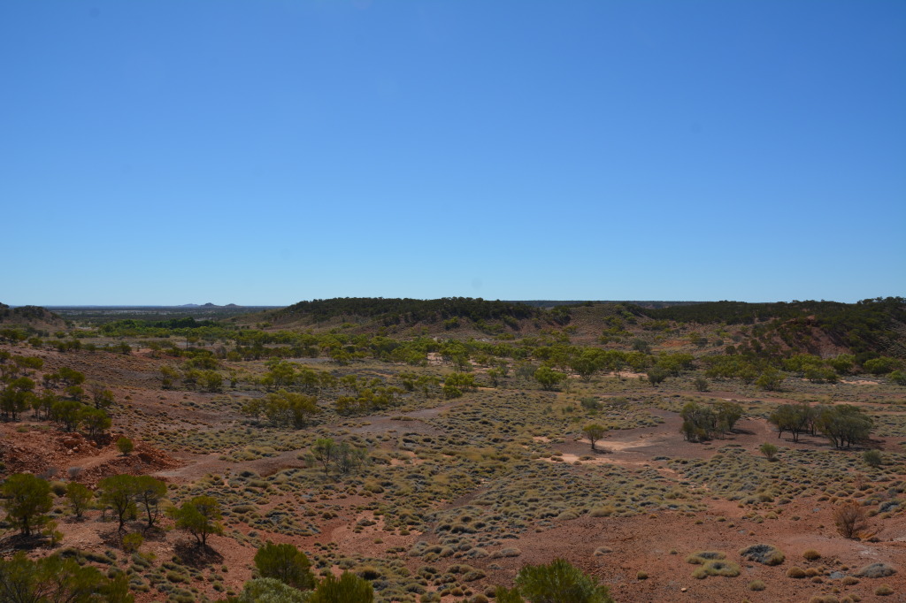 Dinosaur Stampede, Winton