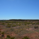 Dinosaur Stampede, Winton