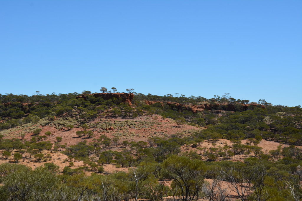 Dinosaur Stampede, Winton