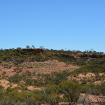 Dinosaur Stampede, Winton