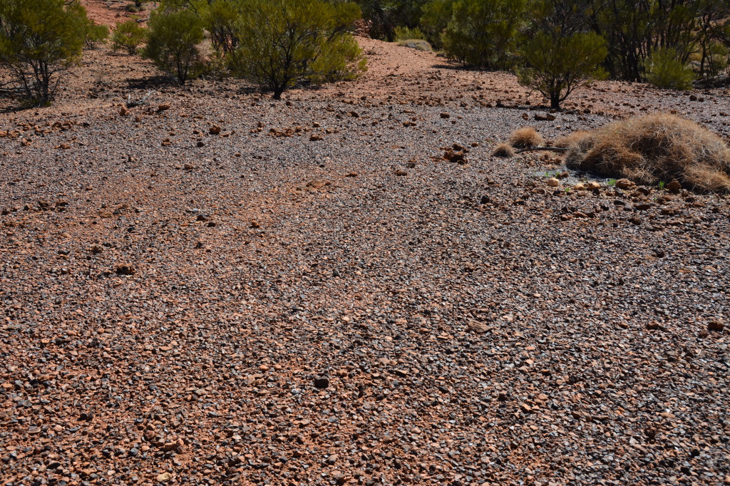 Dinosaur Stampede, Winton