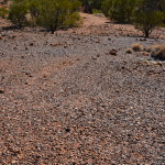Dinosaur Stampede, Winton