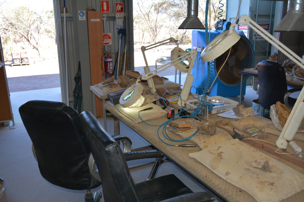 Age of Dinosaurs, Winton