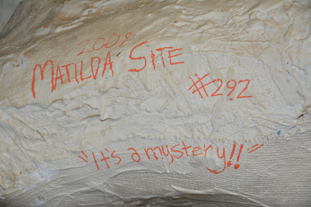 Age of Dinosaurs, Winton