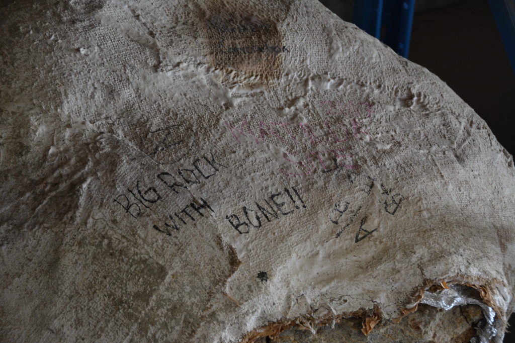 Age of Dinosaurs, Winton