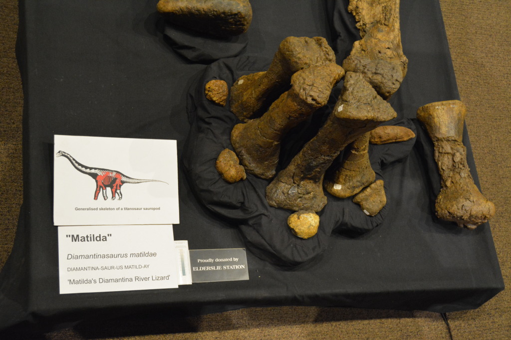 Age of Dinosaurs, Winton