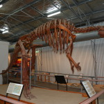 Flinders Discovery Centre, Hughendon