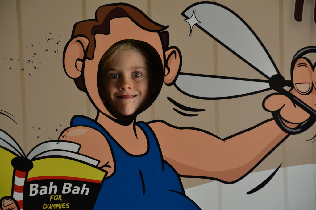 Flinders Discovery Centre, Hughendon