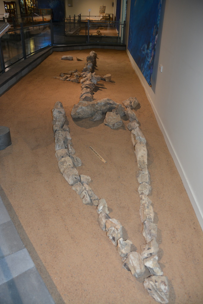 Kronosauruskorner, Richmond