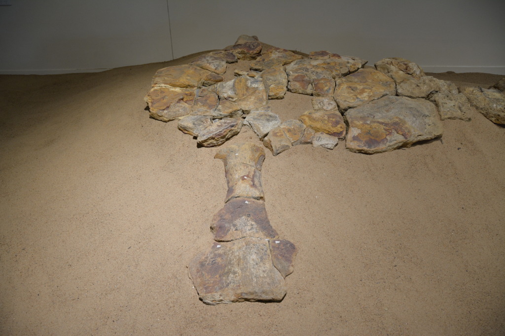 Kronosauruskorner, Richmond