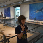 Kronosauruskorner, Richmond