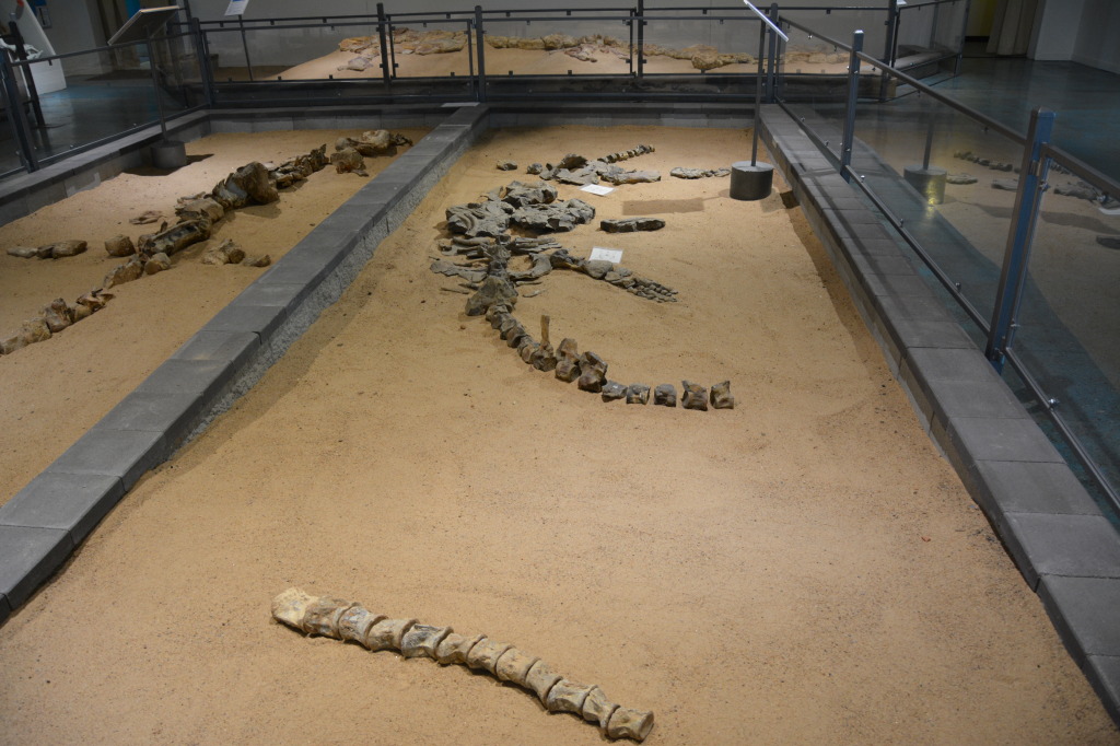 Kronosauruskorner, Richmond