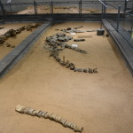 Kronosauruskorner, Richmond