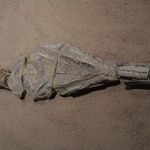 Kronosauruskorner, Richmond