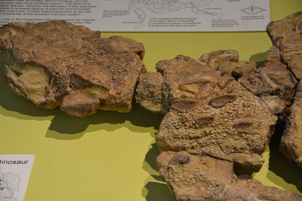 Kronosauruskorner, Richmond